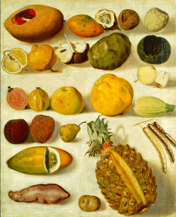 still life with fruits 